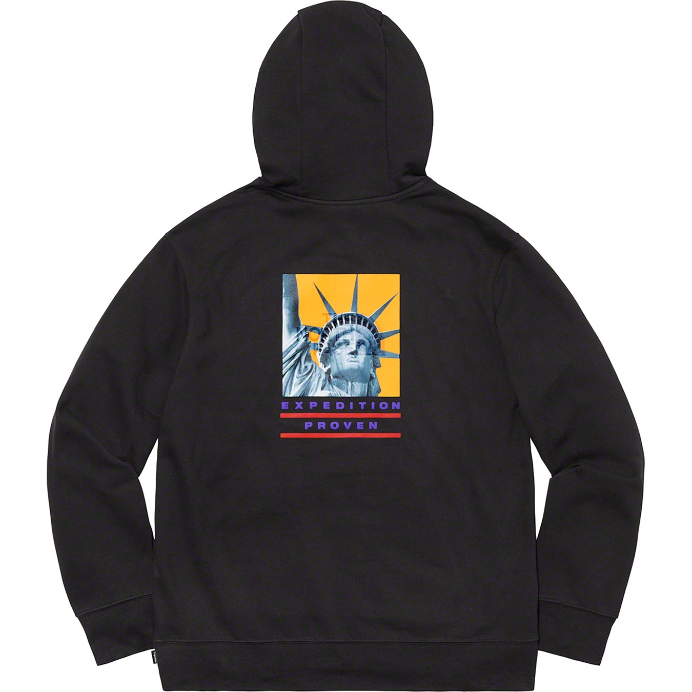 Supreme®/The North Face® Statue of Liberty Hooded Sweatshirt view 4